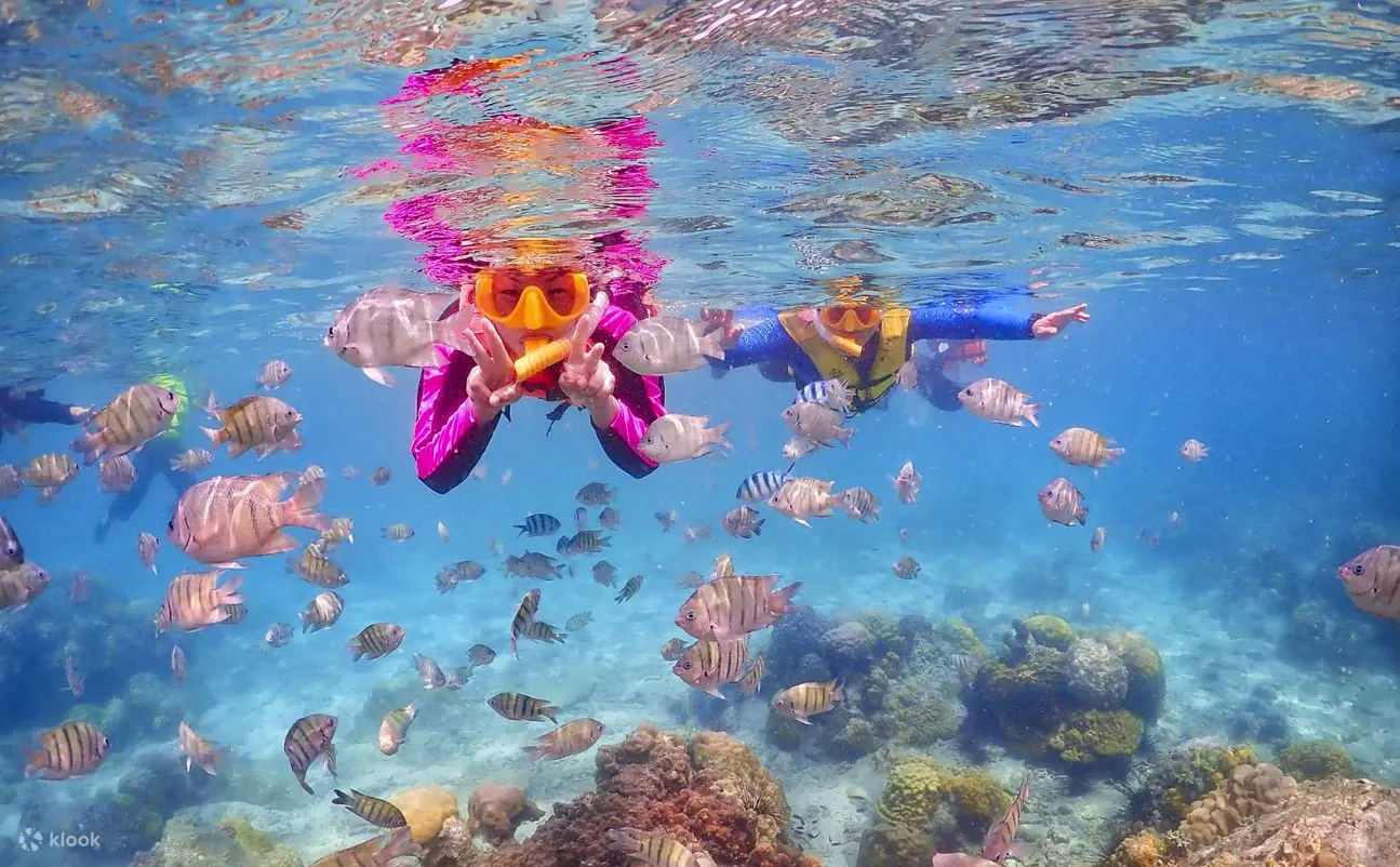 Raja Ampat Tour 4D3N